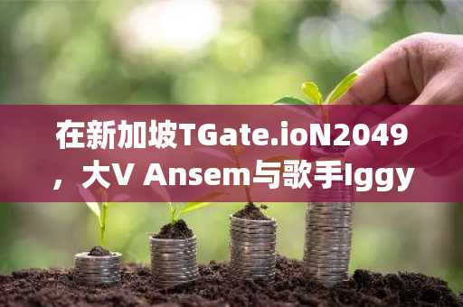 在新加坡TGate.ioN2049,大V Ansem与歌手Iggy Azalea如何谈meme币?