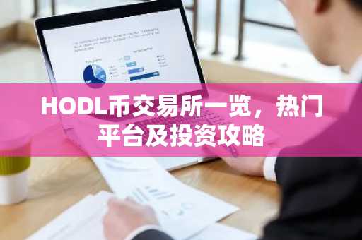 HODL币交易所一览，热门平台及投资攻略