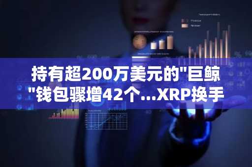持有超200万美元的"巨鲸"钱包骤增42个...XRP换手率再创年内新高