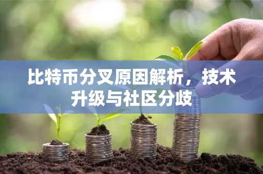 比特币分叉原因解析，技术升级与社区分歧