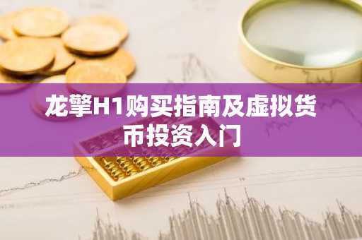 龙擎H1购买指南及虚拟货币投资入门