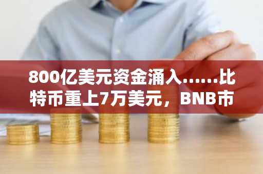 800亿美元资金涌入……比特币重上7万美元，BNB市值重回第四位
