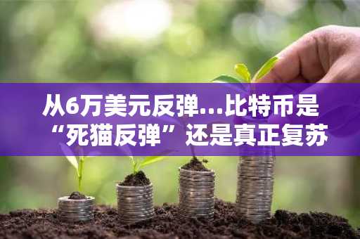 从6万美元反弹…比特币是“死猫反弹”还是真正复苏？