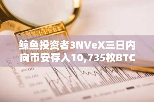 鲸鱼投资者3NVeX三日内向币安存入10,735枚BTC