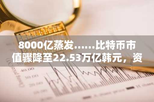 8000亿蒸发……比特币市值骤降至22.53万亿韩元，资产排名跌至第13位