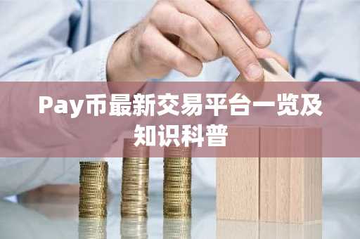 Pay币最新交易平台一览及知识科普