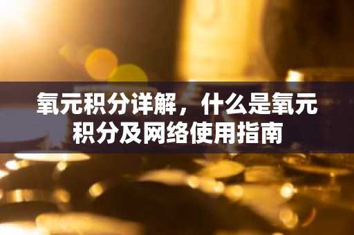 氧元积分详解，什么是氧元积分及网络使用指南