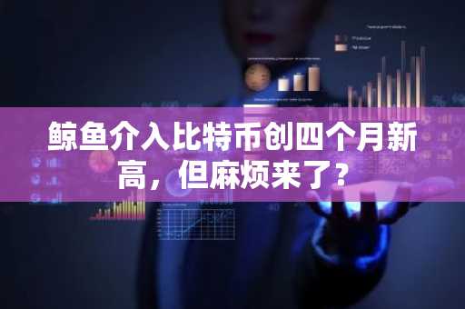 鲸鱼介入比特币创四个月新高，但麻烦来了？