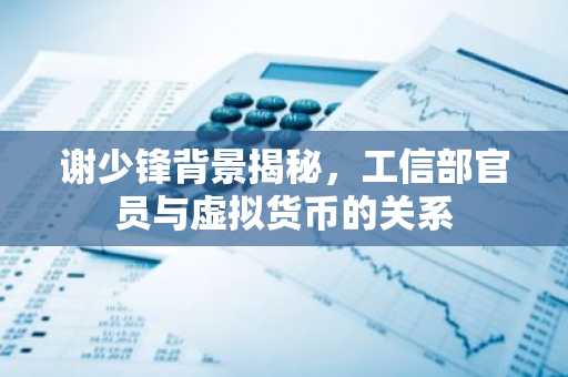 谢少锋背景揭秘，工信部官员与虚拟货币的关系