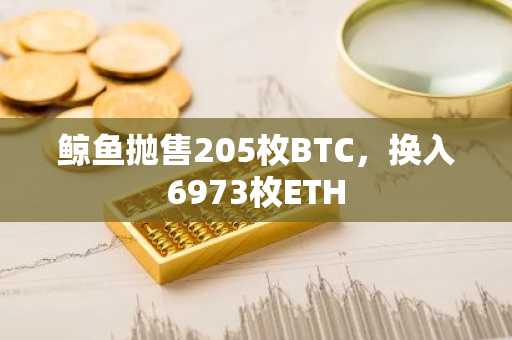 鲸鱼抛售205枚BTC，换入6973枚ETH