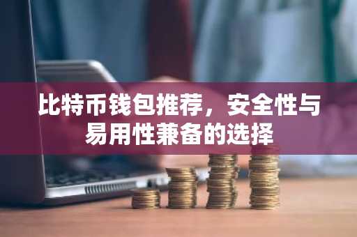 比特币钱包推荐，安全性与易用性兼备的选择
