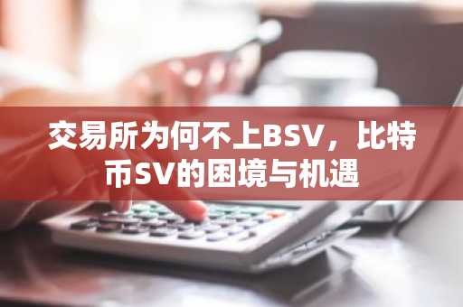 交易所为何不上BSV，比特币SV的困境与机遇
