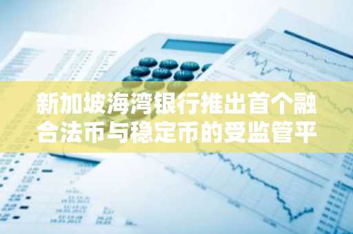 新加坡海湾银行推出首个融合法币与稳定币的受监管平台