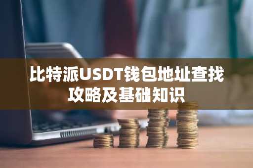 比特派USDT钱包地址查找攻略及基础知识