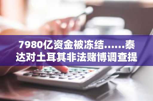 7980亿资金被冻结……泰达对土耳其非法赌博调查提供“史无前例”的协助