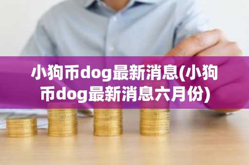小狗币dog最新消息(小狗币dog最新消息六月份)