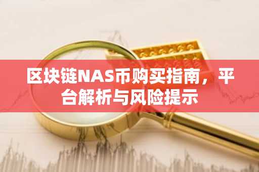 区块链NAS币购买指南，平台解析与风险提示