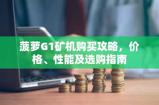 菠萝G1矿机购买攻略，价格、性能及选购指南