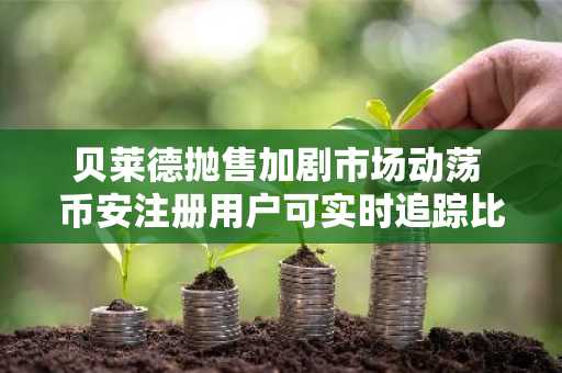 贝莱德抛售加剧市场动荡 币安注册用户可实时追踪比特币以太坊资金流向