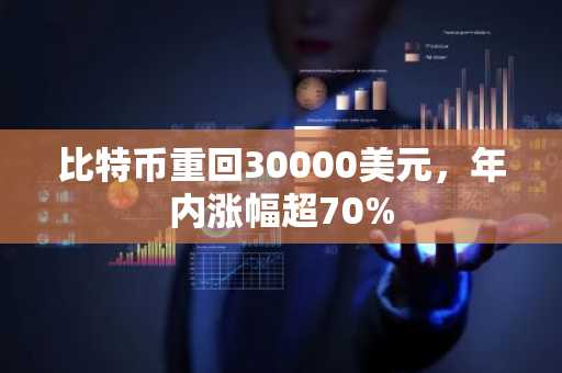 比特币重回30000美元，年内涨幅超70%