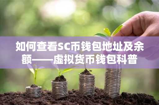 如何查看SC币钱包地址及余额——虚拟货币钱包科普