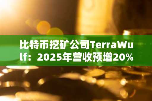 比特币挖矿公司TerraWulf：2025年营收预增20%，但净亏损达6.61亿美元…加速向AI与高性能计算转型