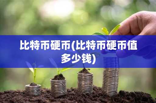比特币硬币(比特币硬币值多少钱)