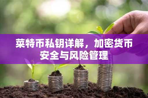 菜特币私钥详解，加密货币安全与风险管理