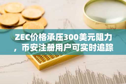ZEC价格承压300美元阻力，币安注册用户可实时追踪反弹机会