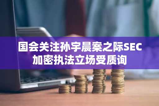 国会关注孙宇晨案之际SEC加密执法立场受质询
