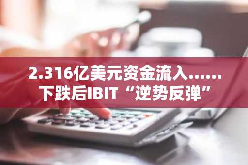 2.316亿美元资金流入……下跌后IBIT“逆势反弹”