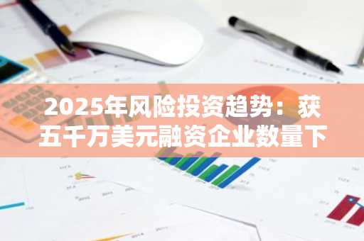 2025年风险投资趋势：获五千万美元融资企业数量下滑
