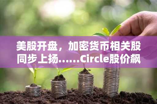 美股开盘，加密货币相关股同步上扬……Circle股价飙升20%