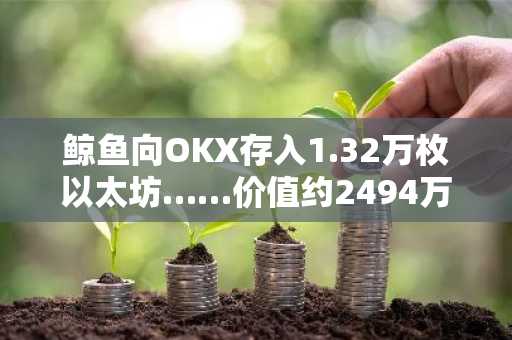 鲸鱼向OKX存入1.32万枚以太坊……价值约2494万美元