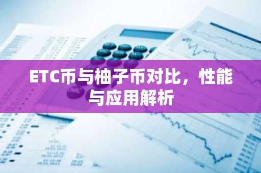 ETC币与柚子币对比，性能与应用解析