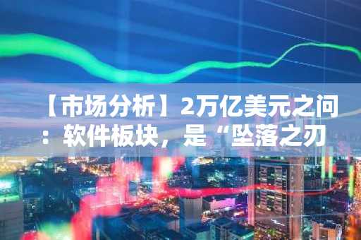 【市场分析】2万亿美元之问：软件板块，是“坠落之刃”还是“弹跳之簧”？