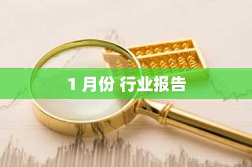 1 月份 行业报告