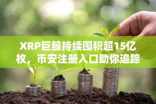 XRP巨鲸持续囤积超15亿枚，币安注册入口助你追踪链上动态