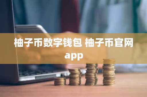 柚子币数字钱包 柚子币官网app