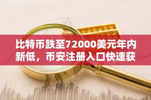 比特币跌至72000美元年内新低，币安注册入口快速获取实时行情