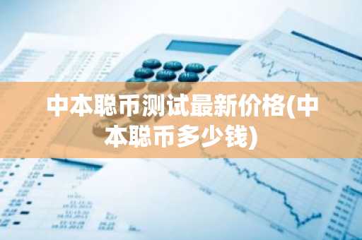 中本聪币测试最新价格(中本聪币多少钱)