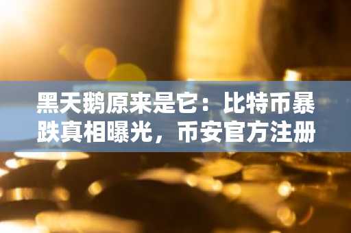 黑天鹅原来是它：比特币暴跌真相曝光，币安官方注册快速入场看行情
