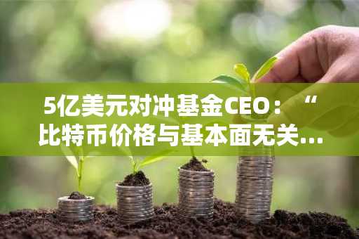 5亿美元对冲基金CEO：“比特币价格与基本面无关…大型金融机构接连入局”
