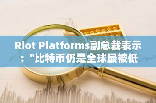Riot Platforms副总裁表示："比特币仍是全球最被低估的资产"