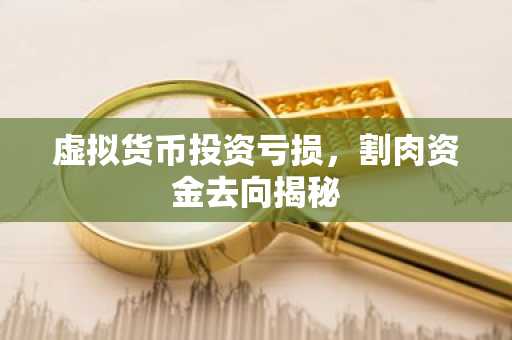 虚拟货币投资亏损，割肉资金去向揭秘