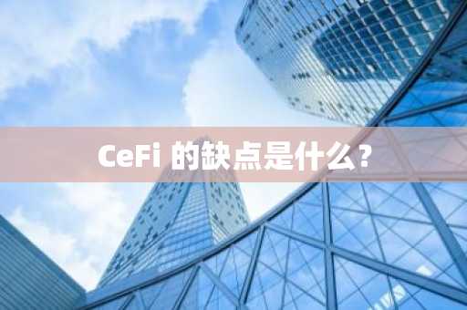 CeFi 的缺点是什么？