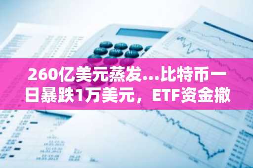 260亿美元蒸发…比特币一日暴跌1万美元，ETF资金撤离潮正式开启